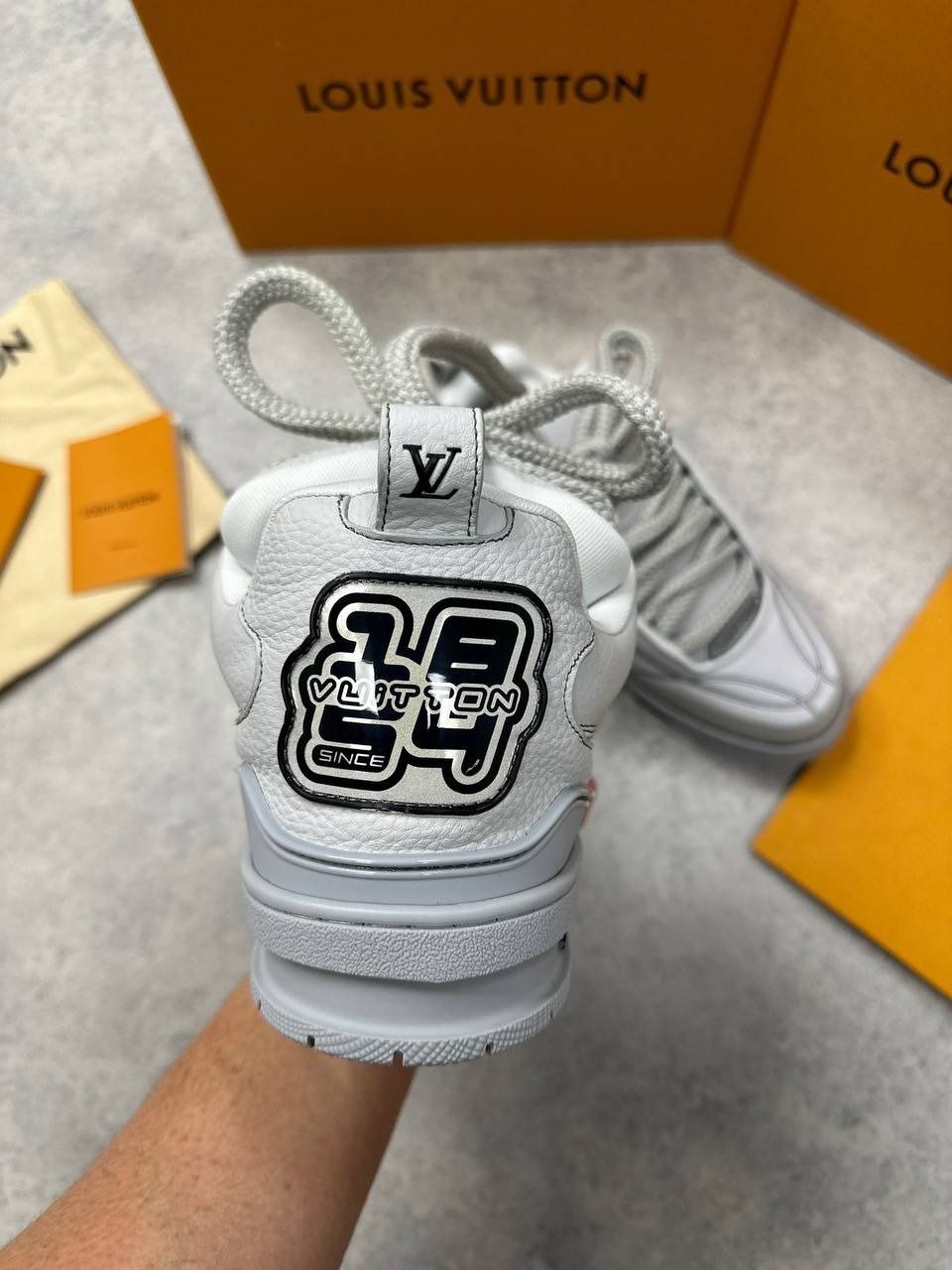 Louis Vuitton Men LV Low Skate Trainers