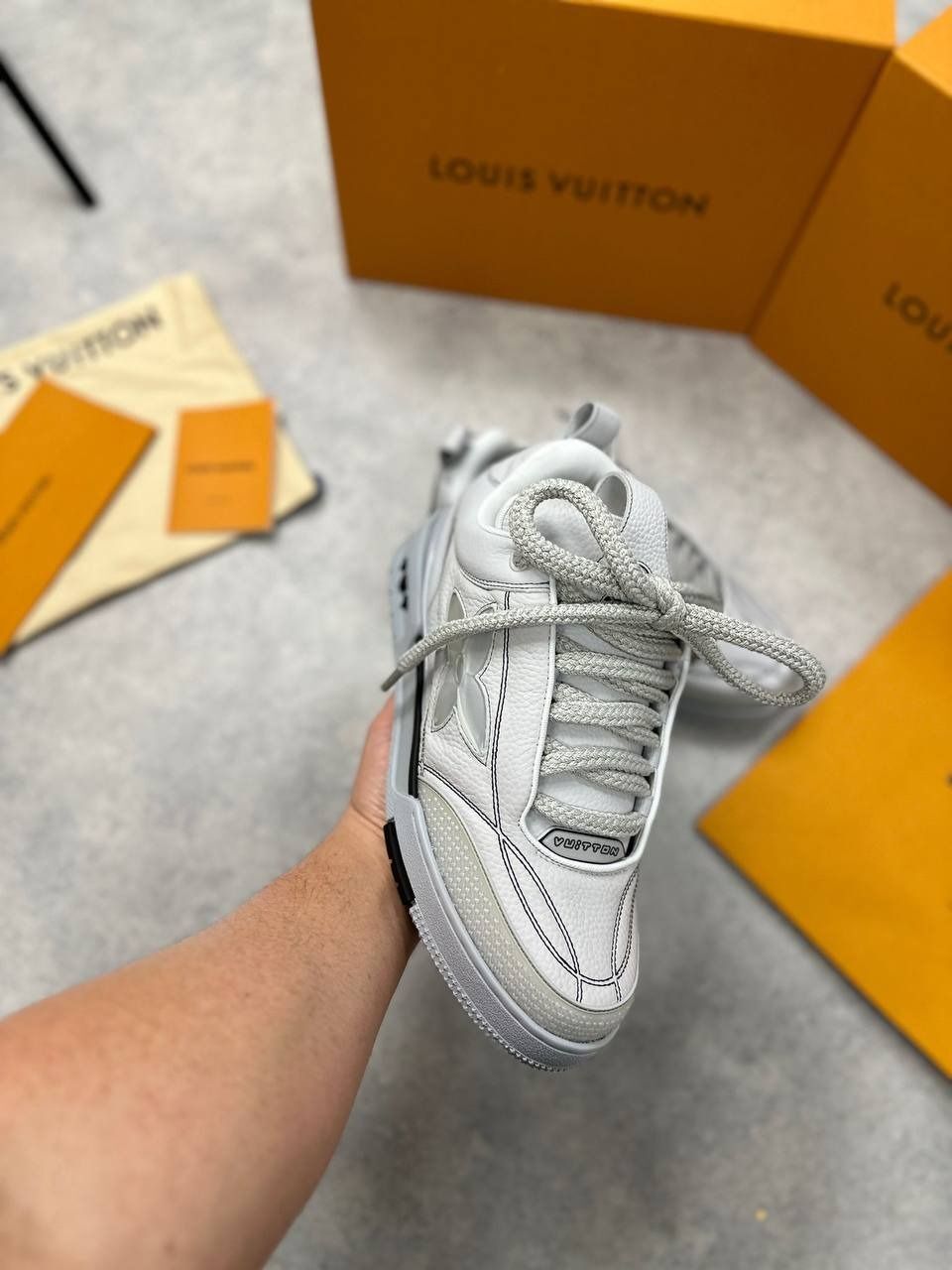 Louis Vuitton Men LV Low Skate Trainers