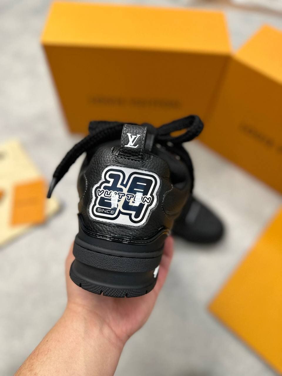 Louis Vuitton Men LV Low Skate Trainers
